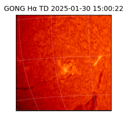 gong - 2025-01-30T15:00:22