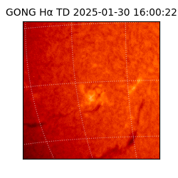 gong - 2025-01-30T16:00:22