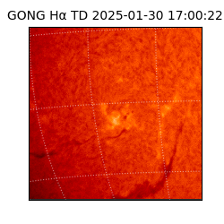 gong - 2025-01-30T17:00:22