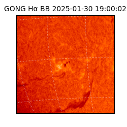 gong - 2025-01-30T19:00:02