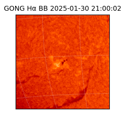 gong - 2025-01-30T21:00:02