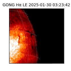 gong - 2025-01-30T03:23:42