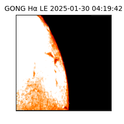 gong - 2025-01-30T04:19:42