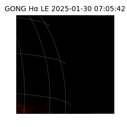 gong - 2025-01-30T07:05:42