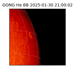 gong - 2025-01-30T21:00:02