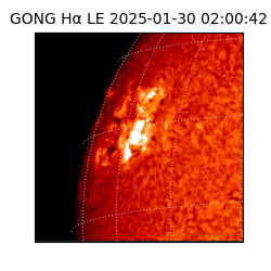 gong - 2025-01-30T02:00:42