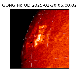 gong - 2025-01-30T05:00:02