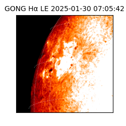 gong - 2025-01-30T07:05:42