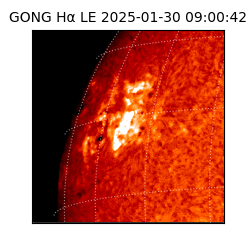 gong - 2025-01-30T09:00:42