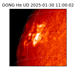 gong - 2025-01-30T11:00:02