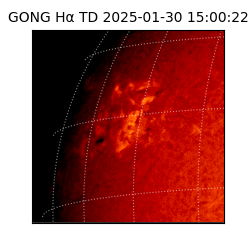 gong - 2025-01-30T15:00:22