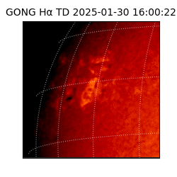 gong - 2025-01-30T16:00:22