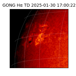 gong - 2025-01-30T17:00:22
