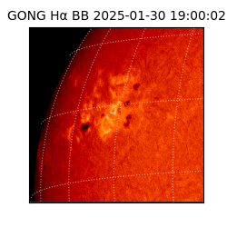 gong - 2025-01-30T19:00:02