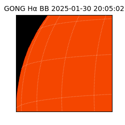 gong - 2025-01-30T20:05:02