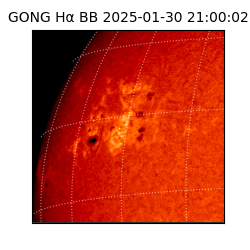 gong - 2025-01-30T21:00:02