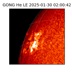 gong - 2025-01-30T02:00:42