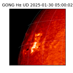gong - 2025-01-30T05:00:02