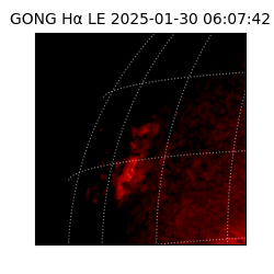 gong - 2025-01-30T06:07:42