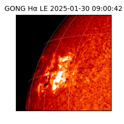 gong - 2025-01-30T09:00:42