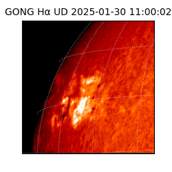 gong - 2025-01-30T11:00:02