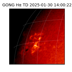 gong - 2025-01-30T14:00:22