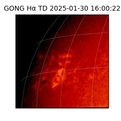 gong - 2025-01-30T16:00:22