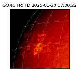 gong - 2025-01-30T17:00:22