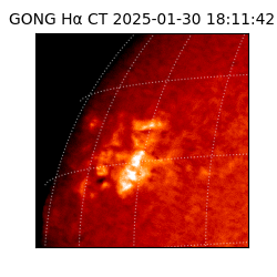 gong - 2025-01-30T18:11:42