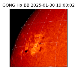 gong - 2025-01-30T19:00:02