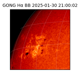 gong - 2025-01-30T21:00:02