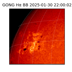 gong - 2025-01-30T22:00:02