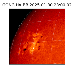 gong - 2025-01-30T23:00:02