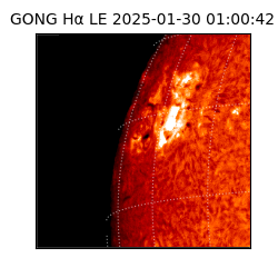 gong - 2025-01-30T01:00:42