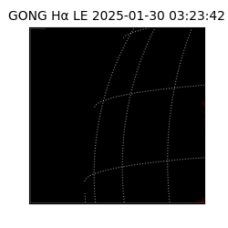 gong - 2025-01-30T03:23:42