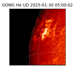 gong - 2025-01-30T05:00:02