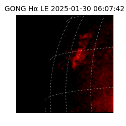 gong - 2025-01-30T06:07:42