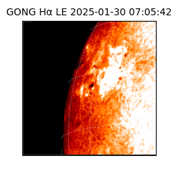 gong - 2025-01-30T07:05:42