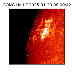 gong - 2025-01-30T08:00:42
