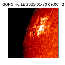 gong - 2025-01-30T09:00:42