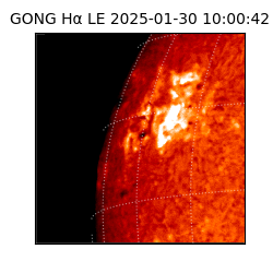gong - 2025-01-30T10:00:42