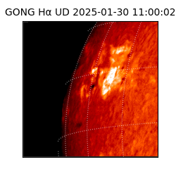 gong - 2025-01-30T11:00:02