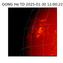 gong - 2025-01-30T12:00:22
