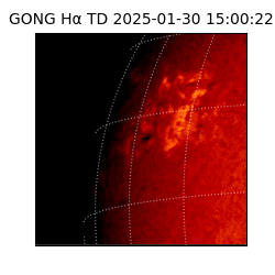 gong - 2025-01-30T15:00:22