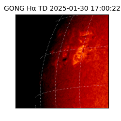 gong - 2025-01-30T17:00:22