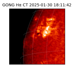 gong - 2025-01-30T18:11:42