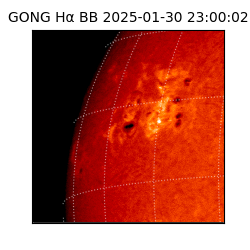 gong - 2025-01-30T23:00:02