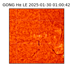 gong - 2025-01-30T01:00:42