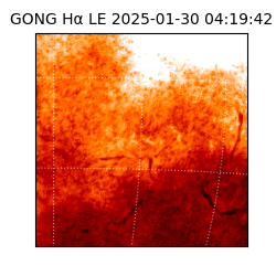 gong - 2025-01-30T04:19:42