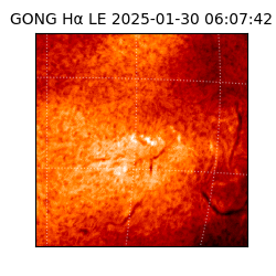 gong - 2025-01-30T06:07:42